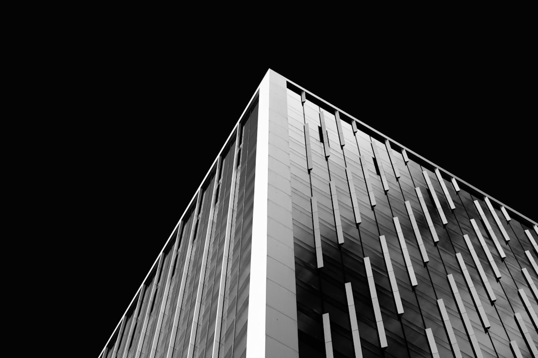 Arista Networks (ANET) stock chart displaying price movements after earnings release, highlighting key support and resistance levels.