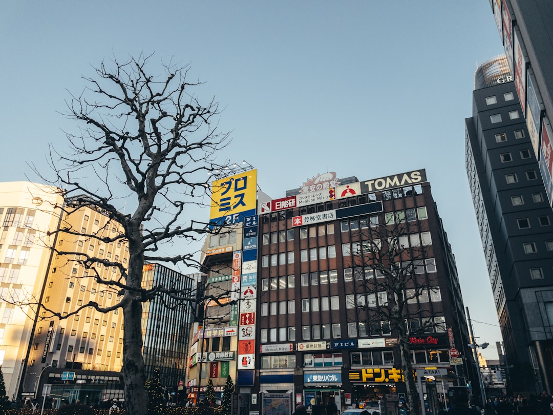 AUD/CHF currency pair chart analysis 0.5383