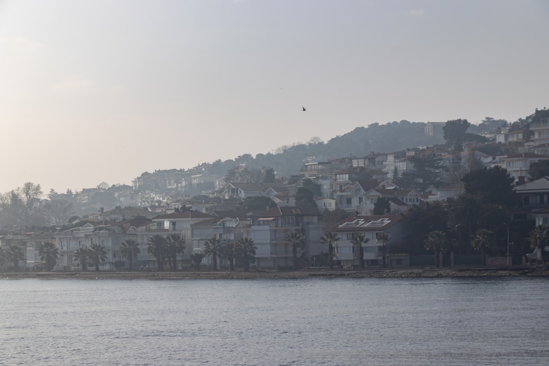 Bitcoin BTC price chart showing consolidation with green and red candlesticks, overlayed with key support and resistance levels, indicating current market volatility and investor sentiment.