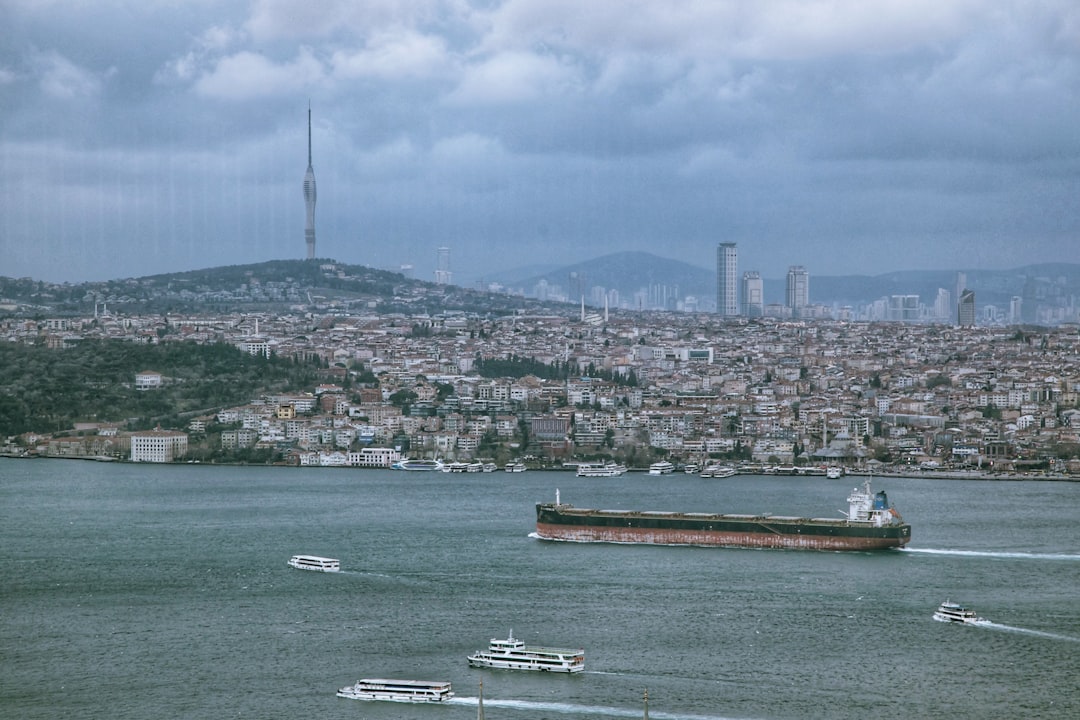 Bonk (BONK) cryptocurrency chart displaying price action against macro indicators