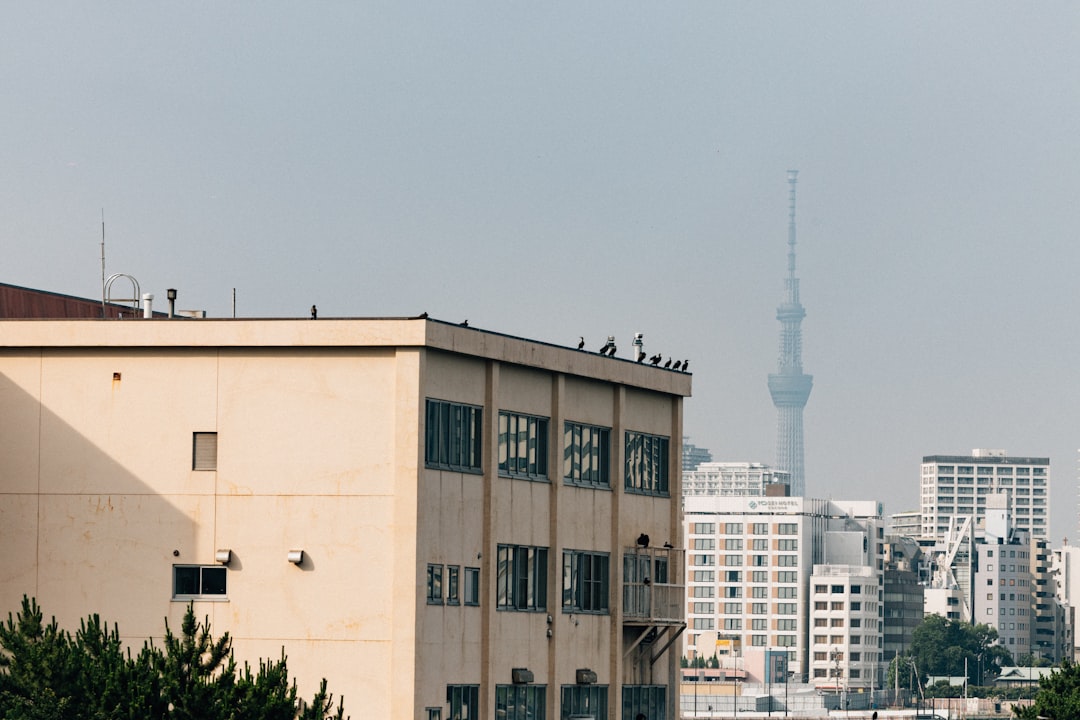 CAD/JPY currency pair chart with oil price overlays