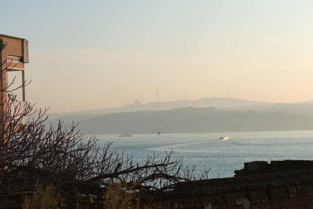 Cardano (ADA) cryptocurrency chart showing price movements and volatility