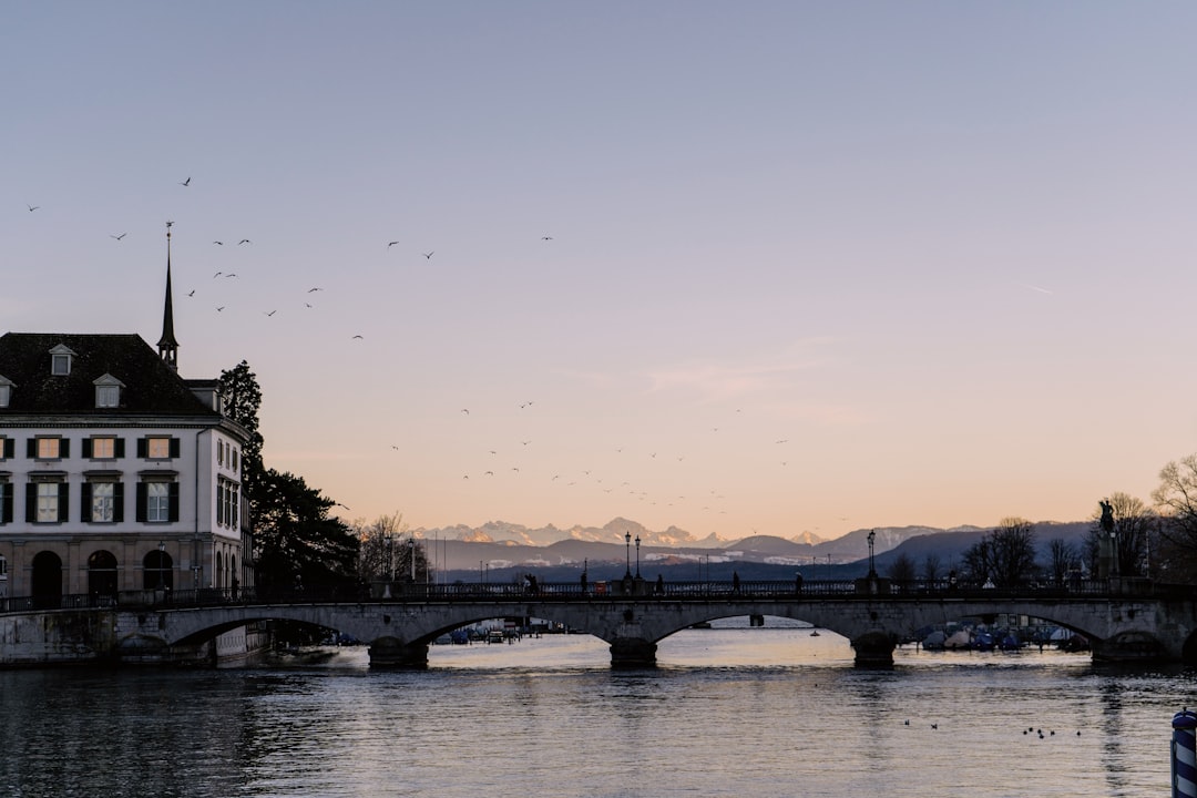 CH20 Swiss stock market index chart analysis