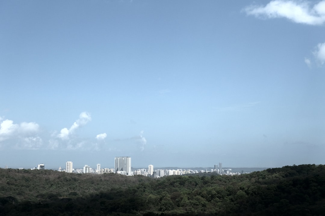 Oil derricks against a sunset, symbolizing crude oil price action and energy market dynamics.