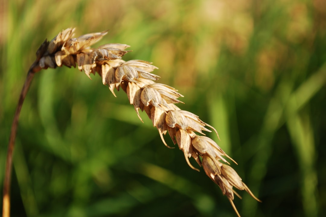 Hedera Hashgraph HBAR cryptocurrency logo with a fluctuating line chart in the background, symbolizing price movements.