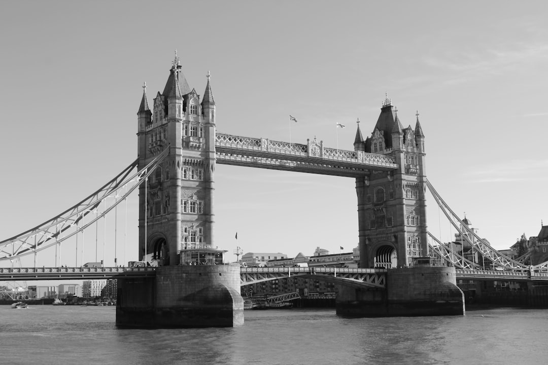 Netflix Logo and Stock Chart Interface
