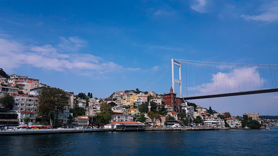 Official TRUMP (TRUMP) cryptocurrency logo on a digital chart background, showing price movement