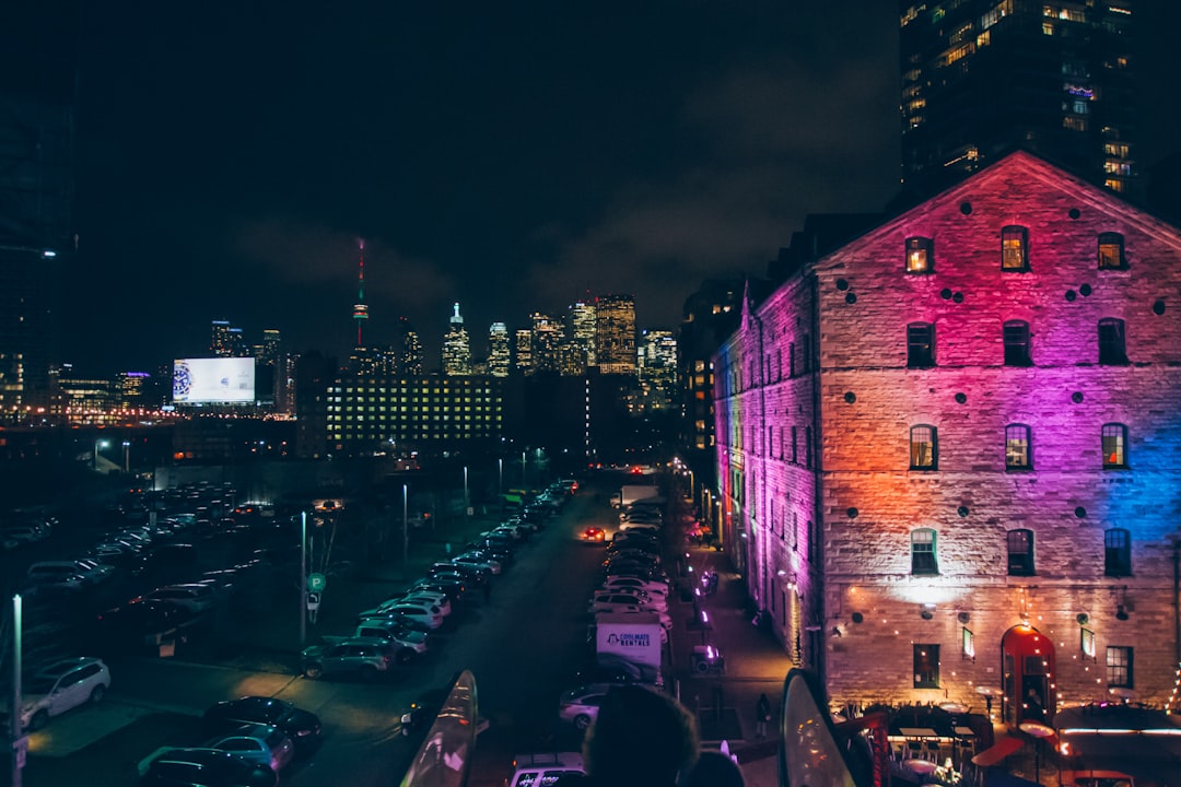 PAX Gold (PAXG) chart displaying price stability amidst crypto volatility.