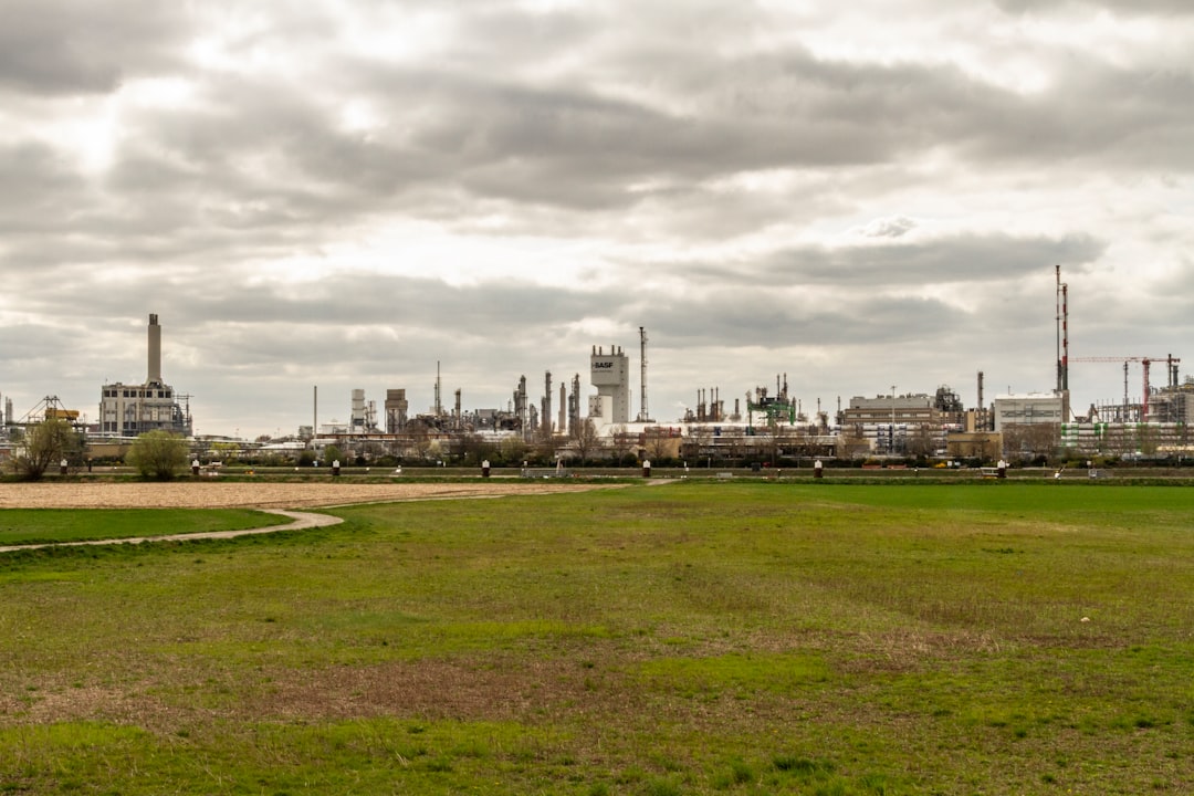 Stock market sector rotation chart showing cyclicals vs defensives