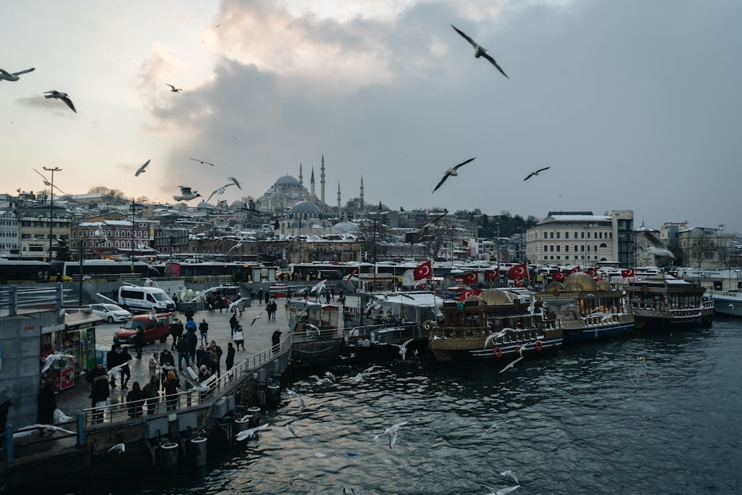 Market charts showing sector rotation with energy and tech symbols highlighted, alongside OPEC and Nvidia logos, illustrating dynamic shifts between quality cyclicals and duration.