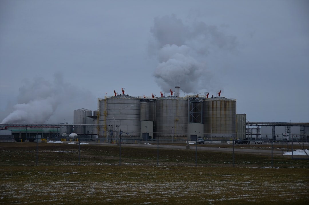 Stock charts illustrating sector rotation with arrows indicating shifts towards quality cyclicals