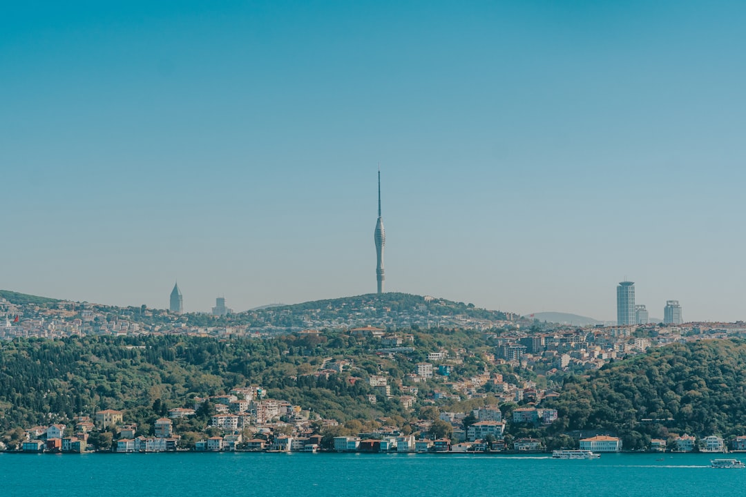 Shiba Inu (SHIB) cryptocurrency icon against a backdrop of financial charts, illustrating market volatility.