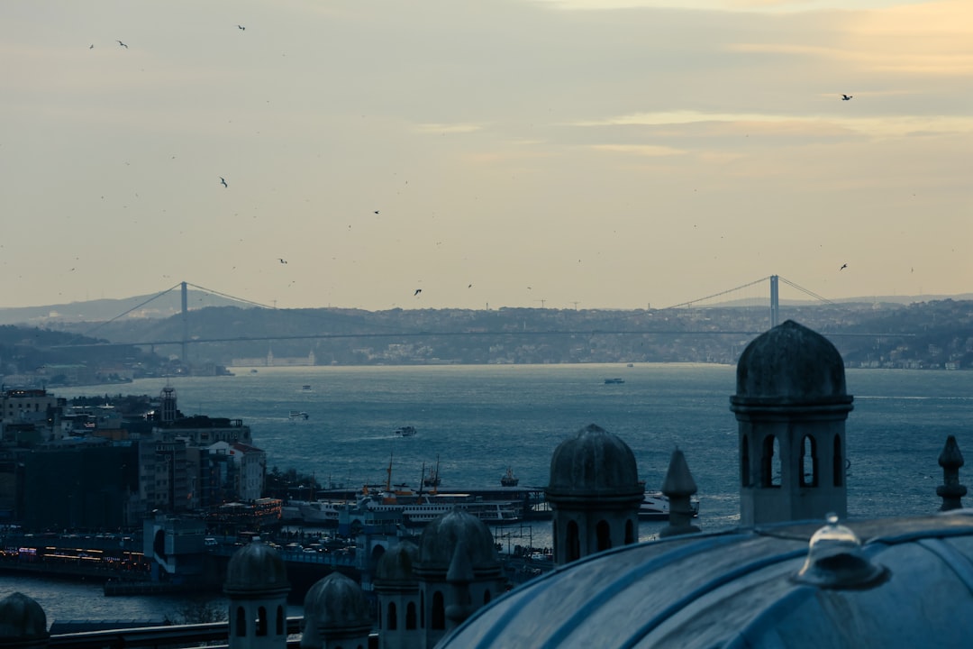 Story (IP) token price chart with upward trend indicating positive momentum influenced by market factors.