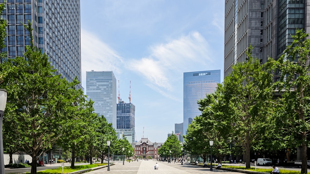 USD/CHF currency pair market analysis graph showing rate leads