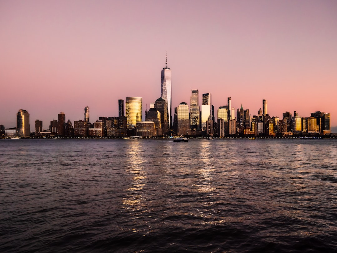 dogwifhat WIF USD price live chart analysis