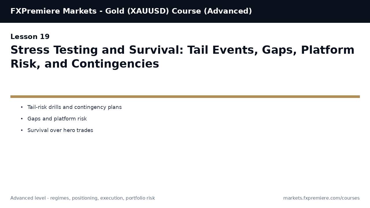 Stress Testing and Survival: Tail Events, Gaps, Platform Risk, and Contingencies