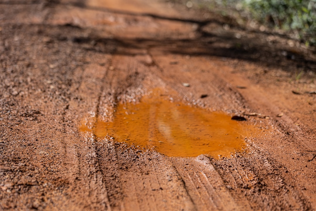 A puddle sits on a dirt path.