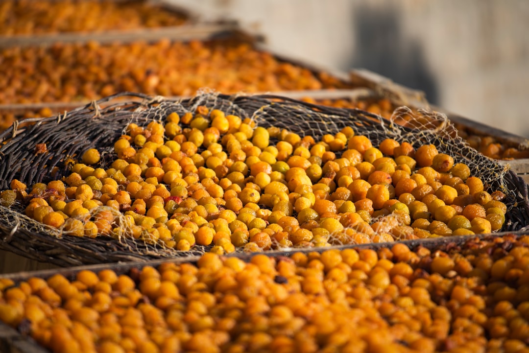 a group of yellow and green corn