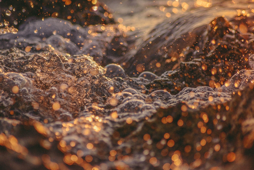 brown and black stones in water