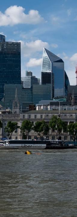 Belite Bio BLTE earnings report with the company logo and stock price chart