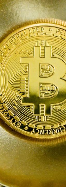 Bitcoin Cash (BCH) price chart showing recent downward trend and support levels