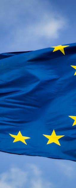 US Treasury bonds chart displaying yield curves and market data