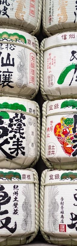 CH20 Swiss Index chart displaying consolidation patterns and key support/resistance levels