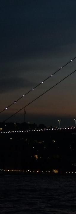 Diagram showing corporate bond issuance and mortgage rate trends