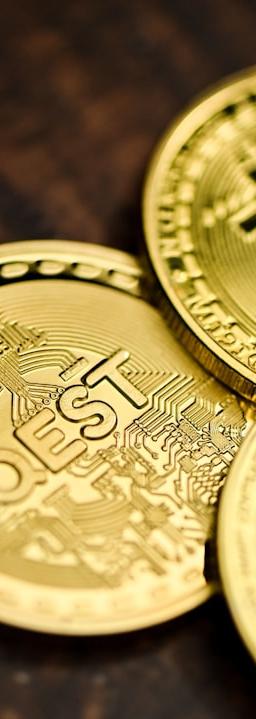 Dogwifhat (WIF) cryptocurrency chart showing price dip and technical analysis indicators