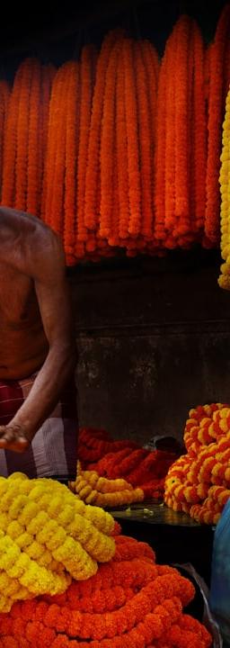 India trade data and economic indicators chart