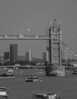 Intel logo on a digital screen with stock market charts