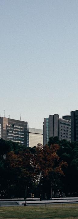 Internet Computer (ICP) symbol against a digital price chart, illustrating market stability near $2.43