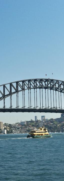 My Neighbor Alice (ALICE) crypto chart showing upward price movement against a backdrop of market news.