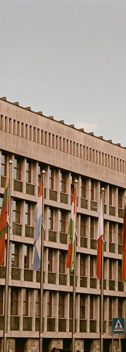 QQQ ETF stock market chart showing AI sector resilience against interest rate volatility