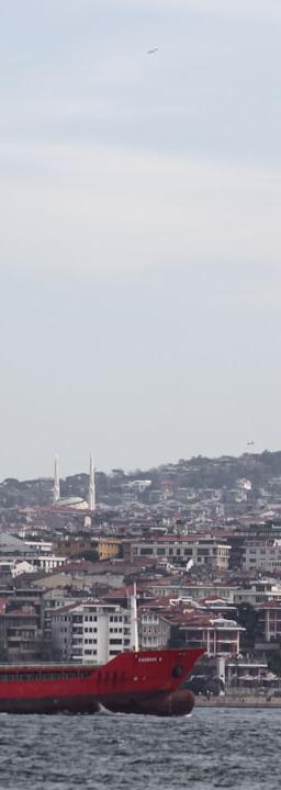 Charts showing sector performance comparison between quality cyclicals and duration, with key financial metrics overlayed.