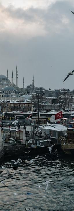 Market charts showing sector rotation with energy and tech symbols highlighted, alongside OPEC and Nvidia logos, illustrating dynamic shifts between quality cyclicals and duration.