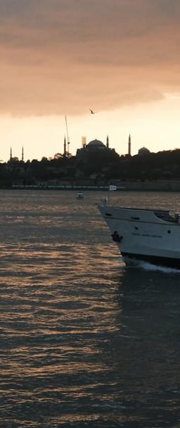 Stock chart illustrating sector rotation with quality cyclicals outperforming duration