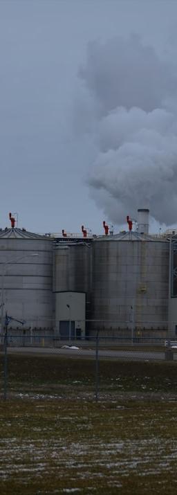 Stock charts illustrating sector rotation with arrows indicating shifts towards quality cyclicals