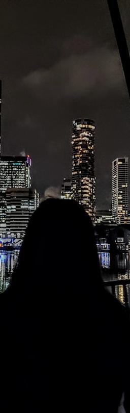 Soybean futures trading chart showing support and resistance levels for January 29 2026