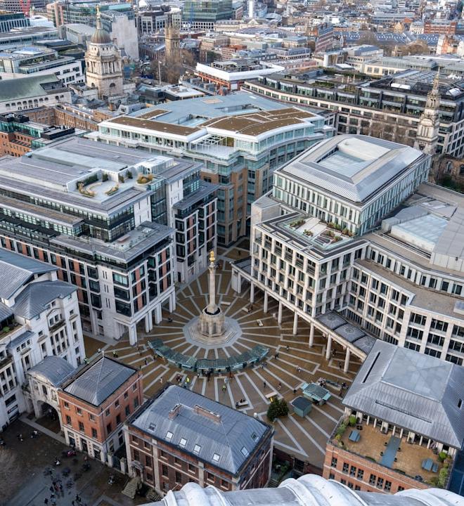 Close-up of soybeans, representing the commodity market analysis