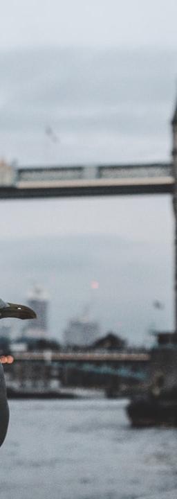 USD/KRW currency pair chart showing key pivot lines and resistance/support levels