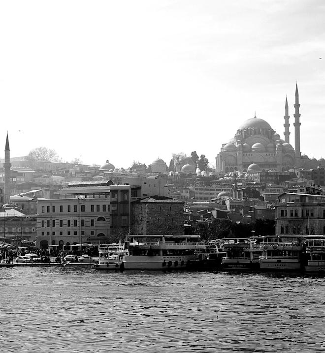 Wheat fields under a cloudy sky, symbolizing agricultural commodities and market risks