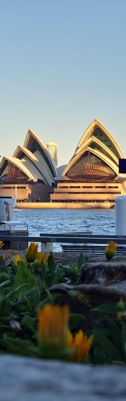 XRP cryptocurrency logo against a background of digital charts and financial data, symbolizing market analysis and investment.