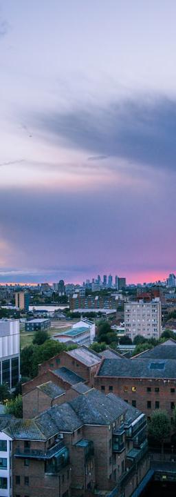 ZCash (ZEC) daily price chart showing a significant upward trend with volume bars.