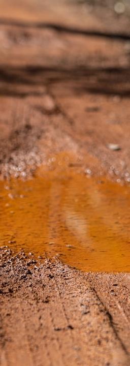 A puddle sits on a dirt path.