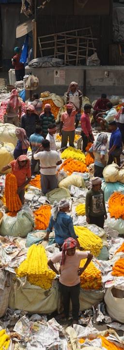 Featured image for: Cotton Prices Under Pressure