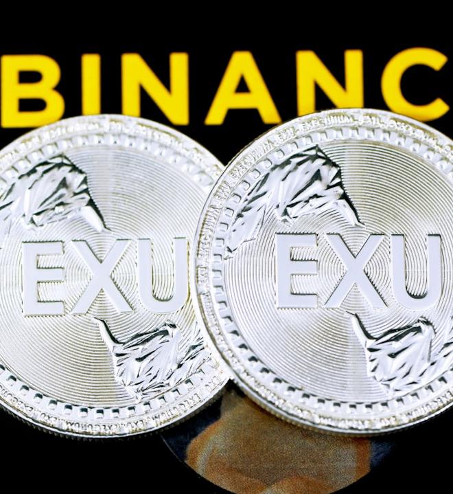 Binance Coin BNB price stability during crypto macro economic swings, silver round coin on textile.
