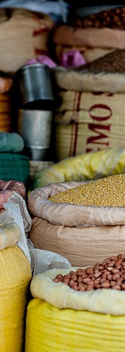 Qatar LNG halt fuels TTF gas market rally 35% surge