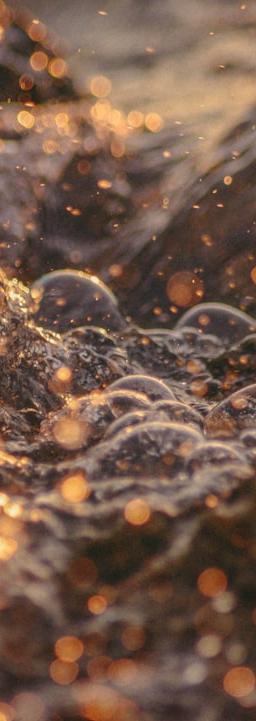 brown and black stones in water