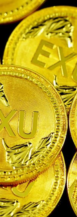 gold star print round coin